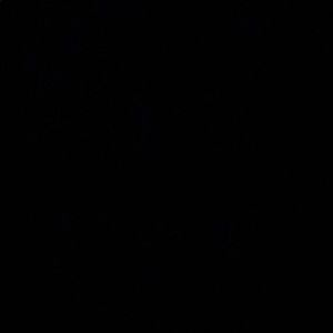 Meet your Posher, Destiny